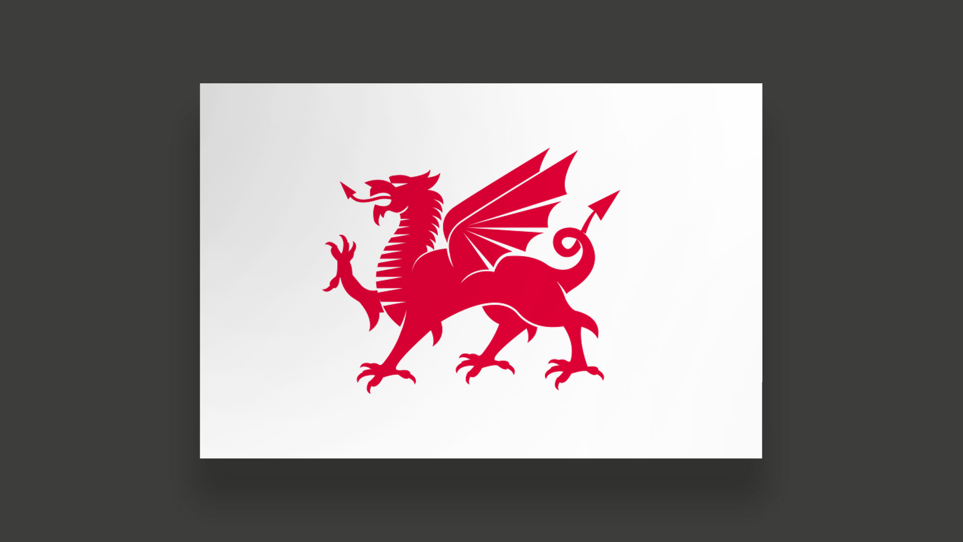 Academy Music Group - Cardiff International dragon